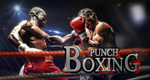 Punch Boxing 3D - Best Android 3D Games 30 Best 3D Games Reviewed
