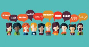 Best Language Learning Apps for iPhone & Android