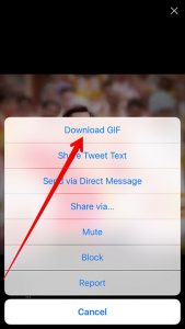 How to Save a GIF on Phone